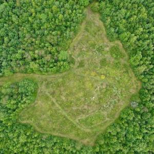 Photo of SOLD!  19 Acres of Residential Hunting Land For Sale in Pittsylvania County VA!