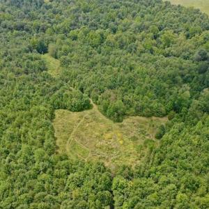 Photo of SOLD!  19 Acres of Residential Hunting Land For Sale in Pittsylvania County VA!