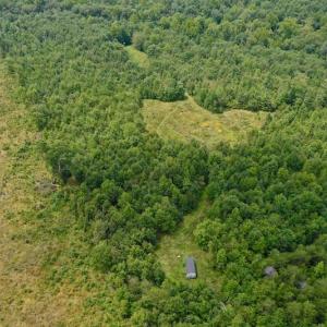 Photo of SOLD!  19 Acres of Residential Hunting Land For Sale in Pittsylvania County VA!