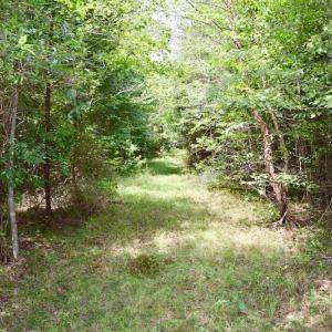 Photo of SOLD!  19 Acres of Residential Hunting Land For Sale in Pittsylvania County VA!
