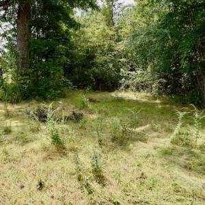 Photo of SOLD!  19 Acres of Residential Hunting Land For Sale in Pittsylvania County VA!