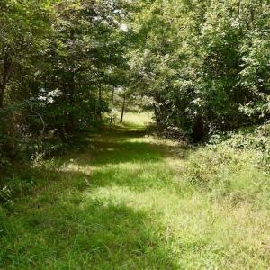 Photo of SOLD!  19 Acres of Residential Hunting Land For Sale in Pittsylvania County VA!