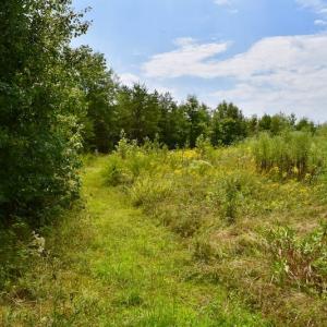 Photo of SOLD!  19 Acres of Residential Hunting Land For Sale in Pittsylvania County VA!