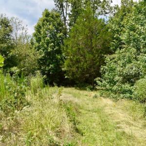 Photo of SOLD!  19 Acres of Residential Hunting Land For Sale in Pittsylvania County VA!