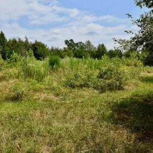 Photo of SOLD!  19 Acres of Residential Hunting Land For Sale in Pittsylvania County VA!