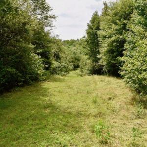 Photo of SOLD!  19 Acres of Residential Hunting Land For Sale in Pittsylvania County VA!