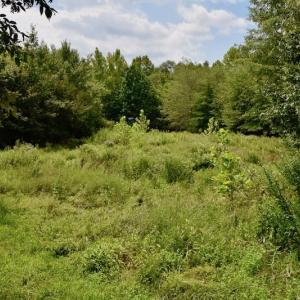 Photo of SOLD!  19 Acres of Residential Hunting Land For Sale in Pittsylvania County VA!