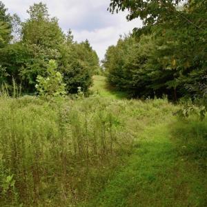 Photo of SOLD!  19 Acres of Residential Hunting Land For Sale in Pittsylvania County VA!