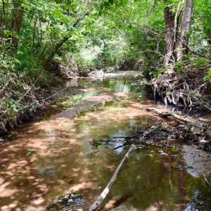 Photo of SOLD!  19 Acres of Residential Hunting Land For Sale in Pittsylvania County VA!