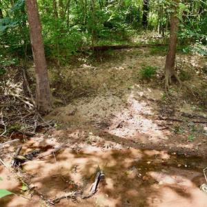 Photo of SOLD!  19 Acres of Residential Hunting Land For Sale in Pittsylvania County VA!