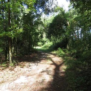 Photo of SOLD!  29 Acres of Hunting and Farm Land For Sale in Duplin County NC!