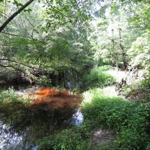 Photo of SOLD!  29 Acres of Hunting and Farm Land For Sale in Duplin County NC!