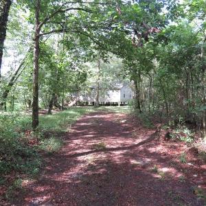 Photo of SOLD!  29 Acres of Hunting and Farm Land For Sale in Duplin County NC!