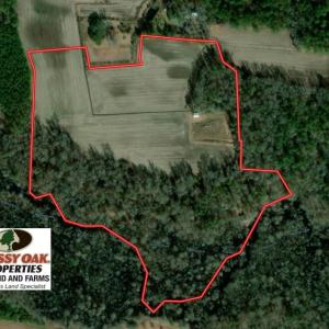 Photo of SOLD!  29 Acres of Hunting and Farm Land For Sale in Duplin County NC!