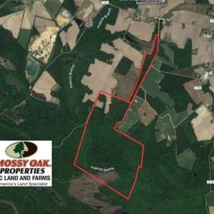 Photo of SOLD!  210 Acres of Farm and Timber Land For Sale in Johnston County NC!