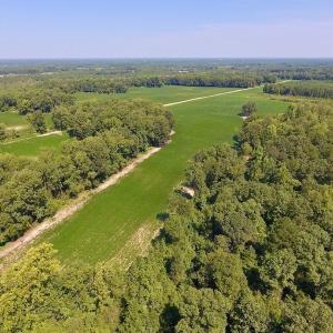 Photo of SOLD!  210 Acres of Farm and Timber Land For Sale in Johnston County NC!