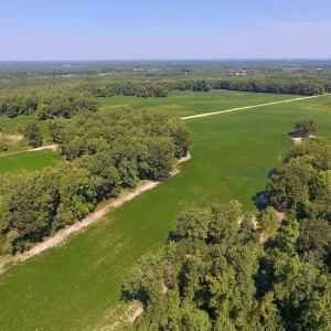 Photo of SOLD!  210 Acres of Farm and Timber Land For Sale in Johnston County NC!