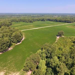 Photo of SOLD!  210 Acres of Farm and Timber Land For Sale in Johnston County NC!