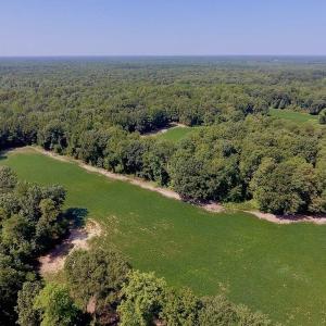 Photo of SOLD!  210 Acres of Farm and Timber Land For Sale in Johnston County NC!