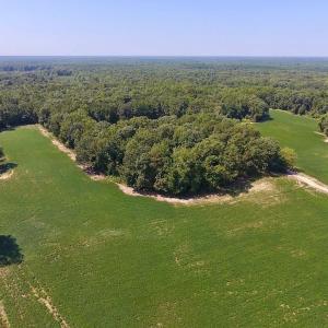 Photo of SOLD!  210 Acres of Farm and Timber Land For Sale in Johnston County NC!