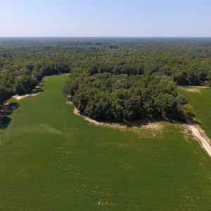 Photo of SOLD!  210 Acres of Farm and Timber Land For Sale in Johnston County NC!