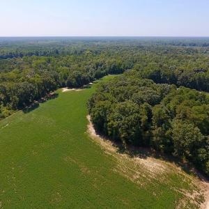 Photo of SOLD!  210 Acres of Farm and Timber Land For Sale in Johnston County NC!