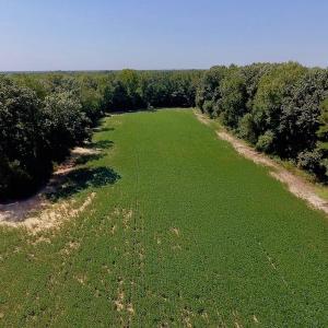 Photo of SOLD!  210 Acres of Farm and Timber Land For Sale in Johnston County NC!