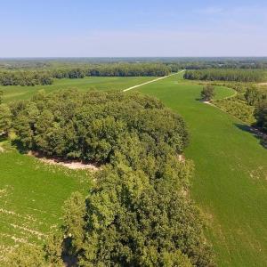 Photo of SOLD!  210 Acres of Farm and Timber Land For Sale in Johnston County NC!
