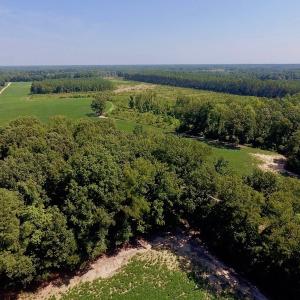 Photo of SOLD!  210 Acres of Farm and Timber Land For Sale in Johnston County NC!