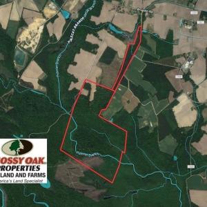 Photo of SOLD!  210 Acres of Farm and Timber Land For Sale in Johnston County NC!