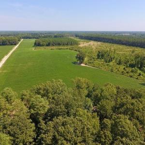 Photo of SOLD!  210 Acres of Farm and Timber Land For Sale in Johnston County NC!