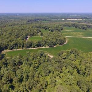 Photo of SOLD!  210 Acres of Farm and Timber Land For Sale in Johnston County NC!