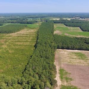 Photo of SOLD!  210 Acres of Farm and Timber Land For Sale in Johnston County NC!