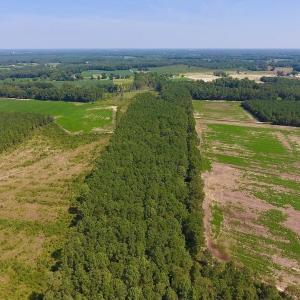 Photo of SOLD!  210 Acres of Farm and Timber Land For Sale in Johnston County NC!