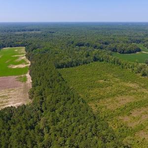Photo of SOLD!  210 Acres of Farm and Timber Land For Sale in Johnston County NC!