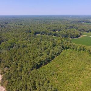 Photo of SOLD!  210 Acres of Farm and Timber Land For Sale in Johnston County NC!