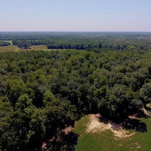 Photo of SOLD!  210 Acres of Farm and Timber Land For Sale in Johnston County NC!