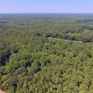 Photo of SOLD!  210 Acres of Farm and Timber Land For Sale in Johnston County NC!