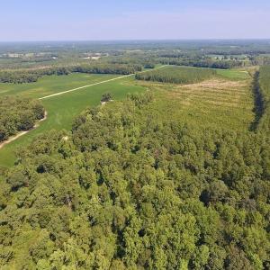 Photo of SOLD!  210 Acres of Farm and Timber Land For Sale in Johnston County NC!