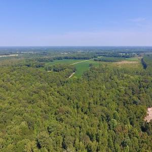 Photo of SOLD!  210 Acres of Farm and Timber Land For Sale in Johnston County NC!