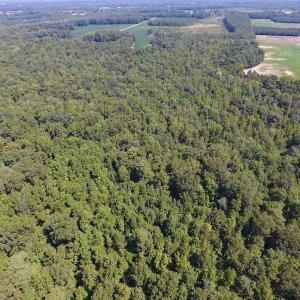 Photo of SOLD!  210 Acres of Farm and Timber Land For Sale in Johnston County NC!