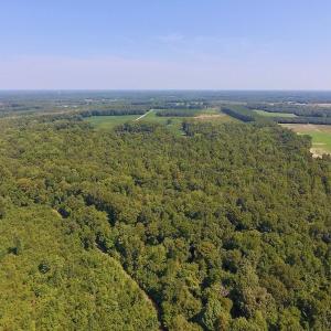 Photo of SOLD!  210 Acres of Farm and Timber Land For Sale in Johnston County NC!