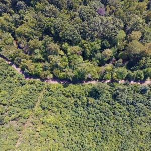 Photo of SOLD!  210 Acres of Farm and Timber Land For Sale in Johnston County NC!