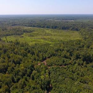 Photo of SOLD!  210 Acres of Farm and Timber Land For Sale in Johnston County NC!
