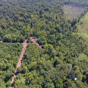 Photo of SOLD!  210 Acres of Farm and Timber Land For Sale in Johnston County NC!