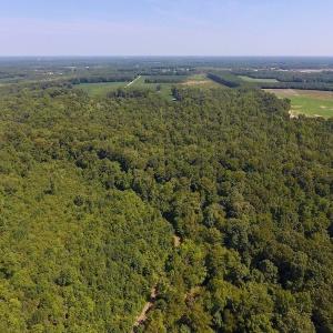 Photo of SOLD!  210 Acres of Farm and Timber Land For Sale in Johnston County NC!