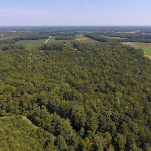Photo of SOLD!  210 Acres of Farm and Timber Land For Sale in Johnston County NC!
