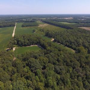Photo of SOLD!  210 Acres of Farm and Timber Land For Sale in Johnston County NC!