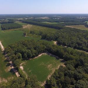 Photo of SOLD!  210 Acres of Farm and Timber Land For Sale in Johnston County NC!