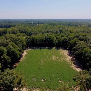 Photo of SOLD!  210 Acres of Farm and Timber Land For Sale in Johnston County NC!